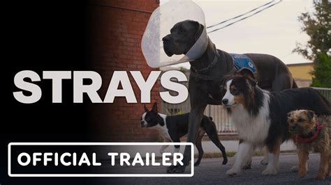 04-Nov-2023 ... STRAYS Trailer (2023) Jamie Foxx, Will Ferrell, Isla Fisher, Dogs.